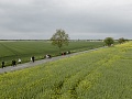 Fotogaléria