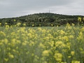 Fotogaléria