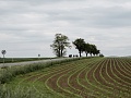 Fotogaléria