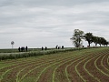 Fotogaléria