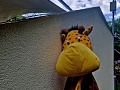Fotogaléria