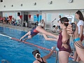 Fotogaléria