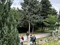 Fotogaléria