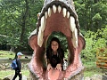 Fotogaléria
