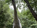 Fotogaléria