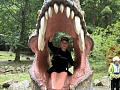 Fotogaléria