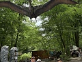 Fotogaléria