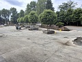 Fotogaléria
