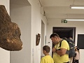 Fotogaléria