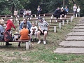 Fotogaléria