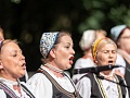 Fotogaléria