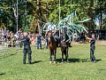Fotogaléria