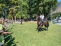 Fotogaléria