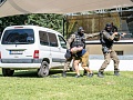 Fotogaléria