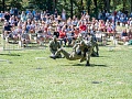 Fotogaléria