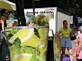 Fotogaléria