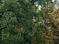 Fotogaléria