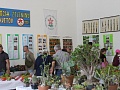 Fotogaléria