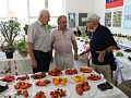Fotogaléria