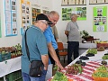 Fotogaléria