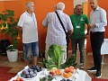 Fotogaléria