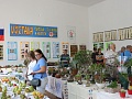 Fotogaléria