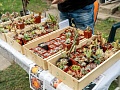 Fotogaléria