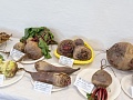 Fotogaléria