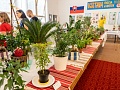 Fotogaléria