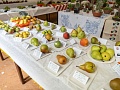 Fotogaléria