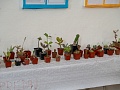 Fotogaléria