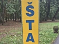 Fotogaléria