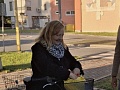 Fotogaléria