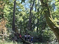 Fotogaléria