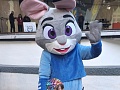 Fotogaléria