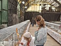 Fotogaléria