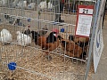 Fotogaléria