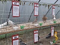 Fotogaléria