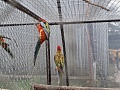 Fotogaléria
