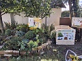 Fotogaléria