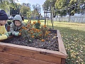 Fotogaléria