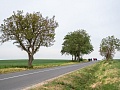 Fotogaléria