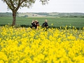 Fotogaléria