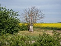 Fotogaléria