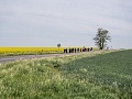 Fotogaléria