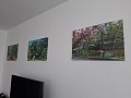 Fotogaléria