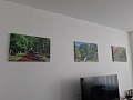 Fotogaléria