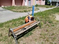Fotogaléria