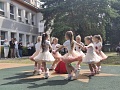 Fotogaléria