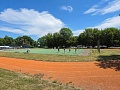 Fotogaléria